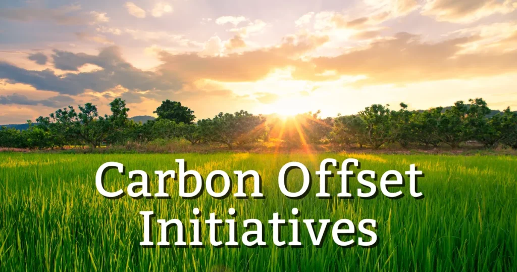 carbon offset initiatives carbon offset initiatives