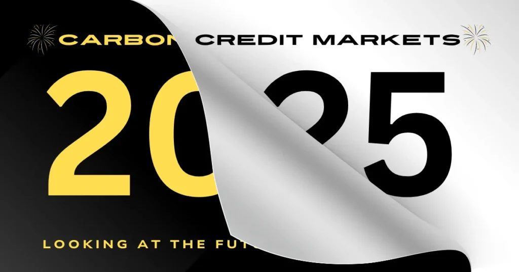 future of carbon credits future of carbon credits