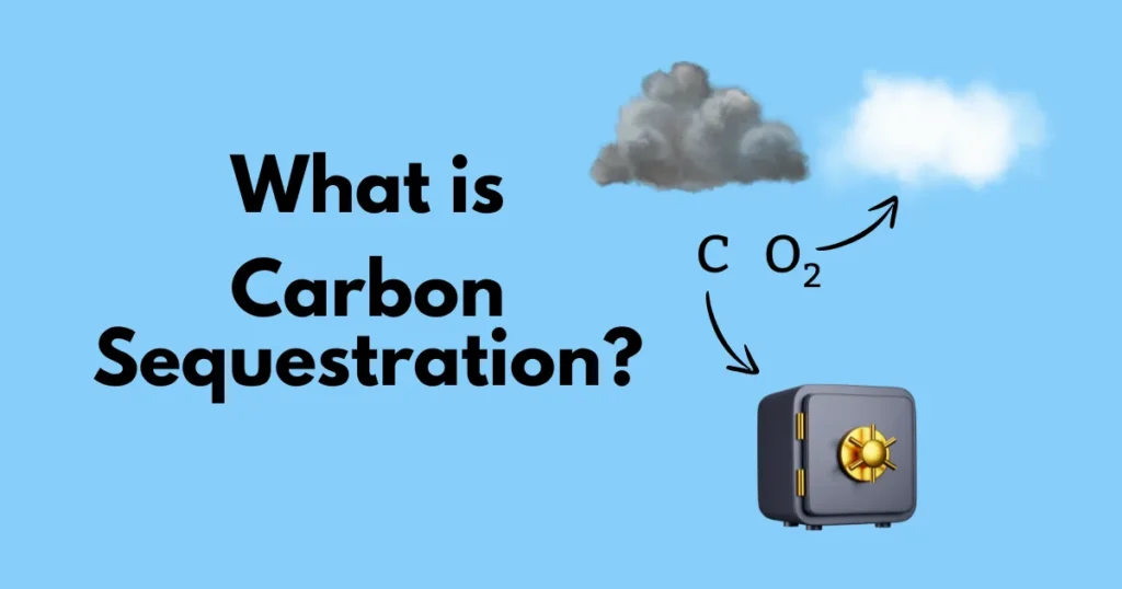 what is carbon sequestratiion what is carbon sequestratiion
