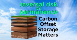 reversal risk vs permanence