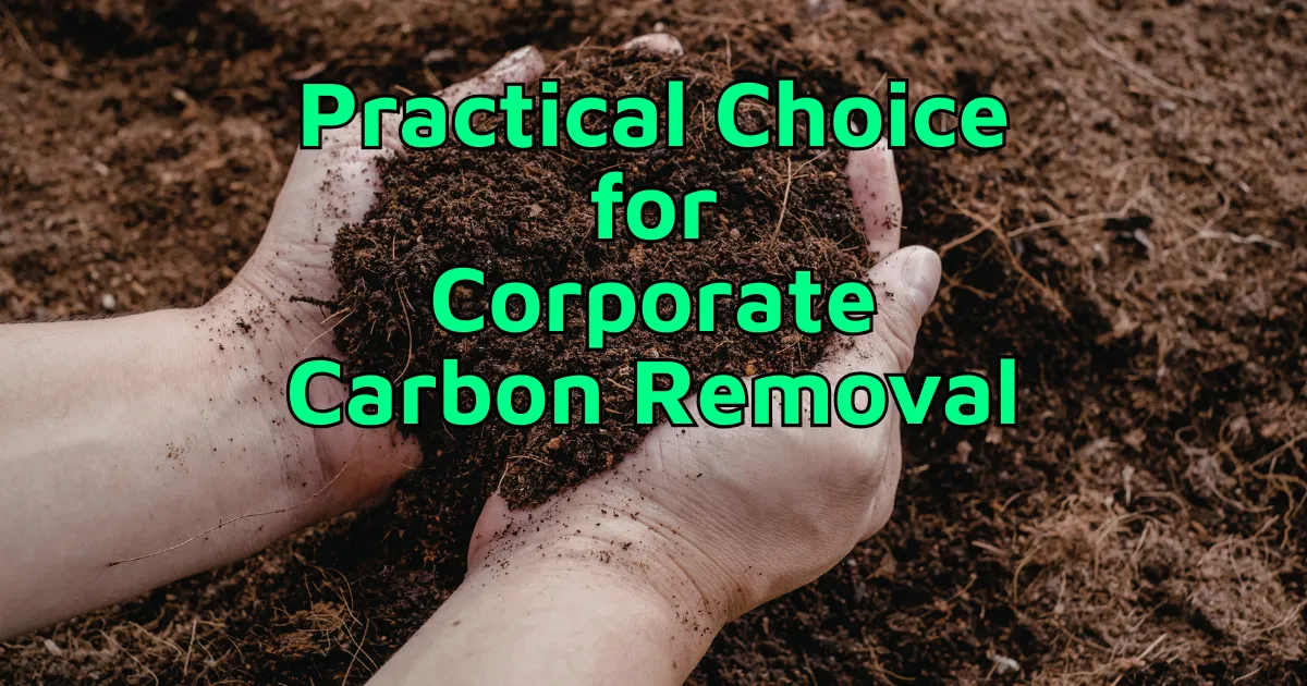 Practical Choice for Corporate Carbon Removal