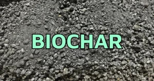 BIOCHAR